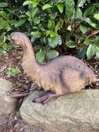 Emu Sitting Realistic Ornament Statue Garden Sculpture Décor  Large 44 cm