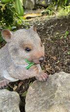 AUSTRALIAN WOMBAT EATING A LEAF GARDEN STATUE