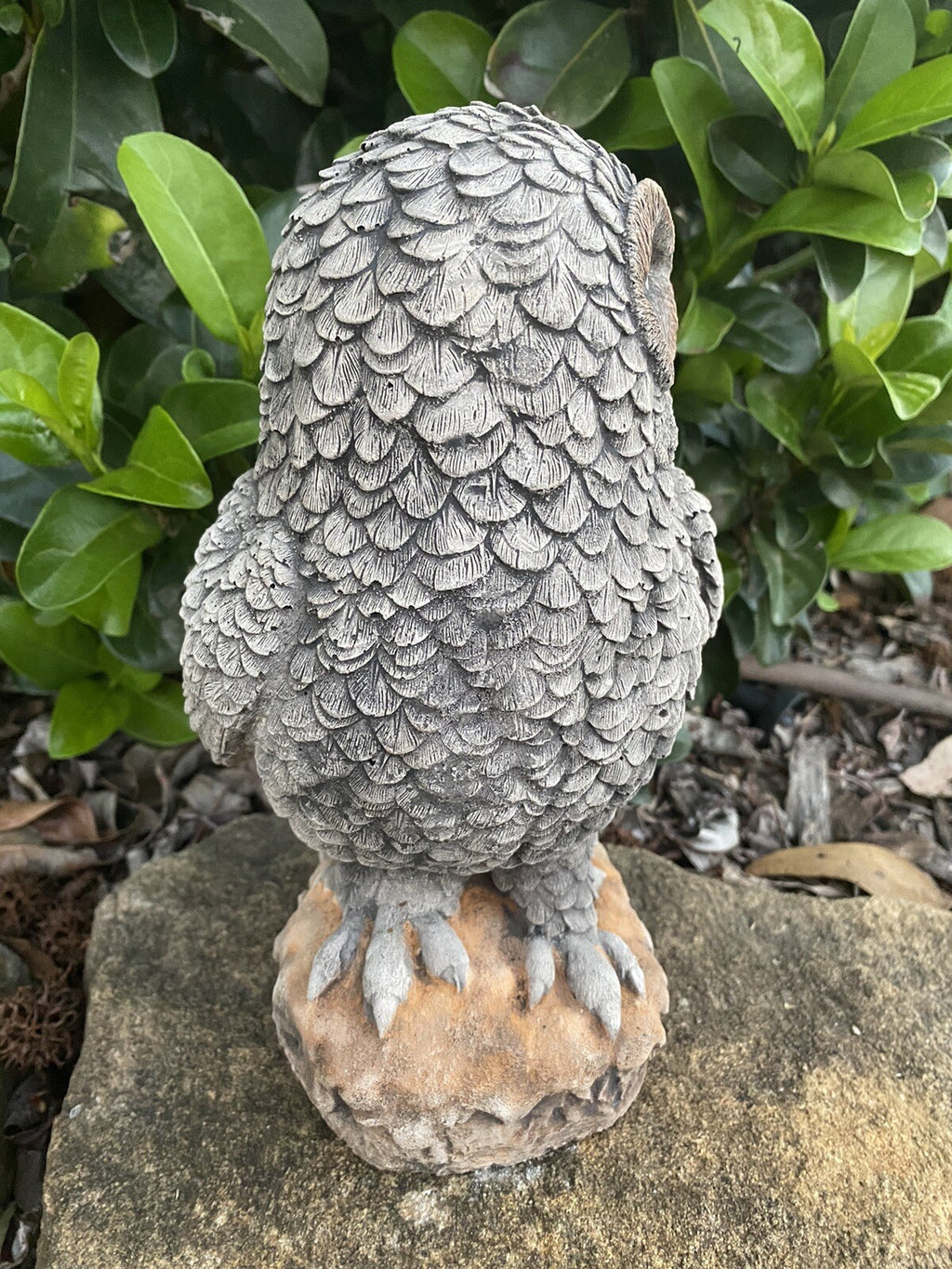 Owl Statue Ornament Animal Concrete Garden Australian Made