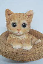 GINGER CAT IN A HAT ANIMAL GARDEN STATUE ORNAMENT FIGURINE SCULPTURE MONEY BOX