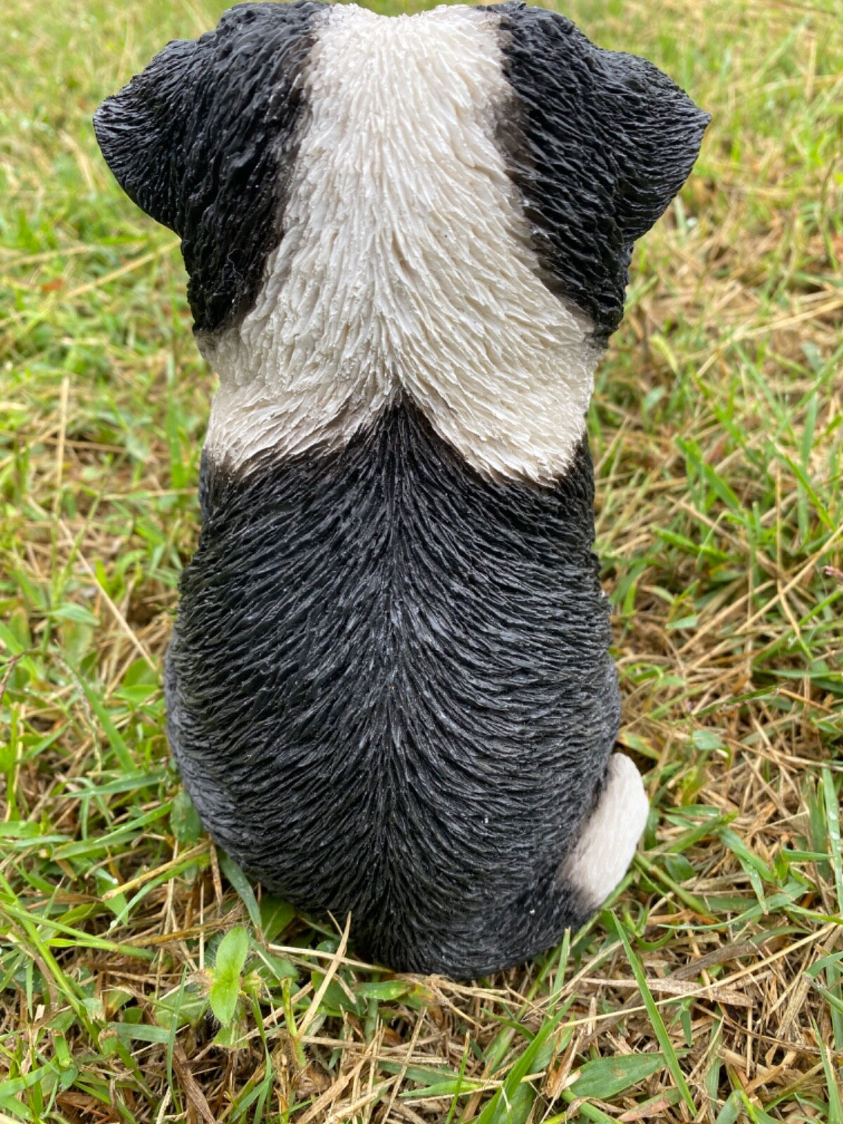 Border Collie Sitting Statue Working Sheepdog Ornament Memorial Home Decor 17 CM