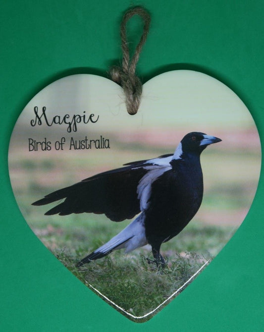 AUSTRALIAN RAINBOW LORIKEET & MAGPIE BIRD TILE GARDEN WALL ART HOME DECOR