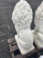 Guardian Lion Pair Statue Garden Statue  75cm Pick Up Only