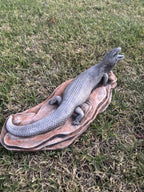 Blue Tongue Lizard Statue Ornament Animal Cement Concrete Garden Australian Made