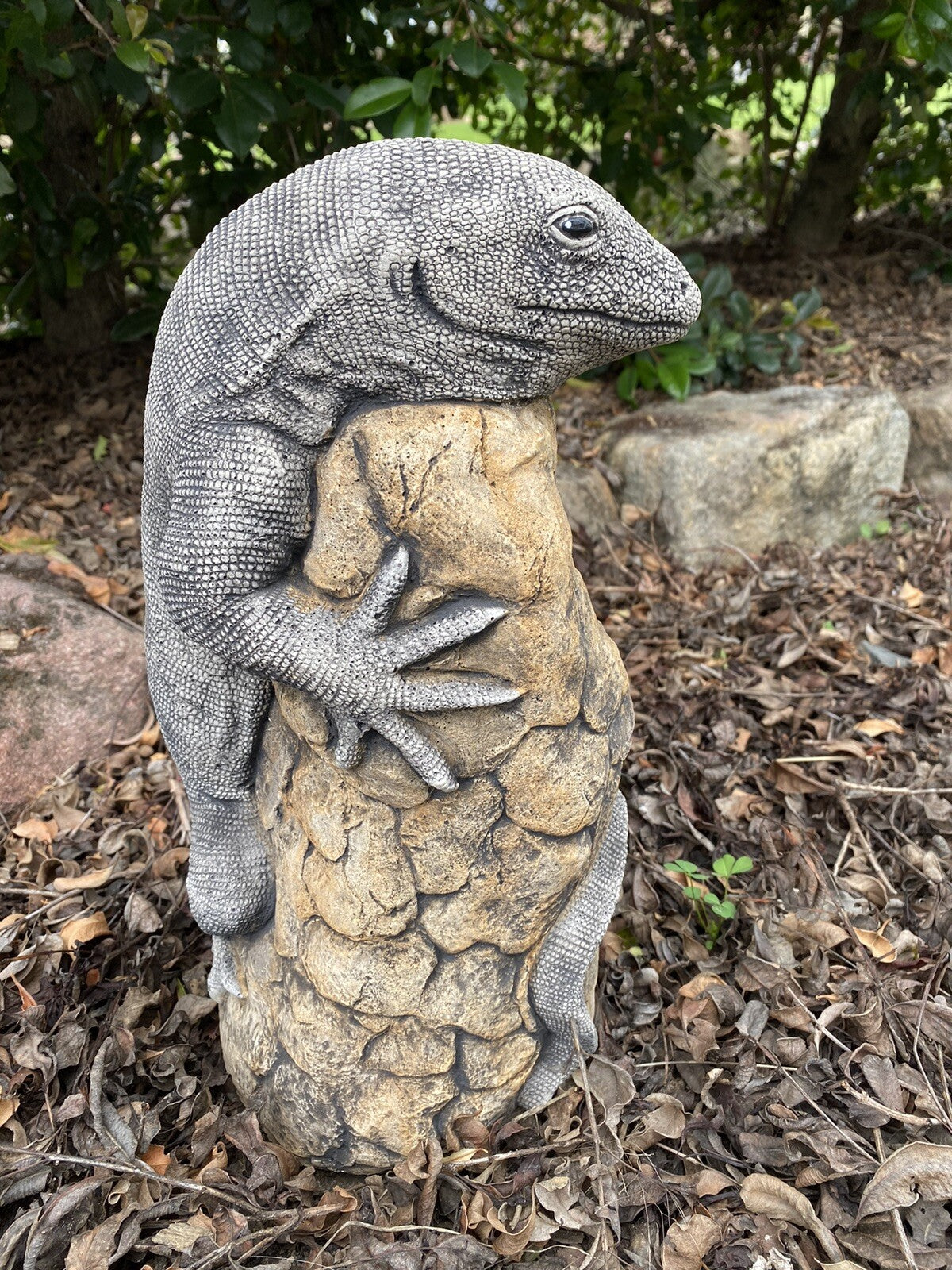 Goanna Lizard Rock Statue Ornament Animal Concrete Cement Garden Australian Made
