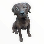 Resin Chocolate Labrador Dog Statue Garden Ornament Sitting Puppy