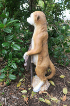 MEERKAT STATUE WELCOME GARDEN ANIMAL GARDEN ORNAMENT SCULPTURE HOME DECOR