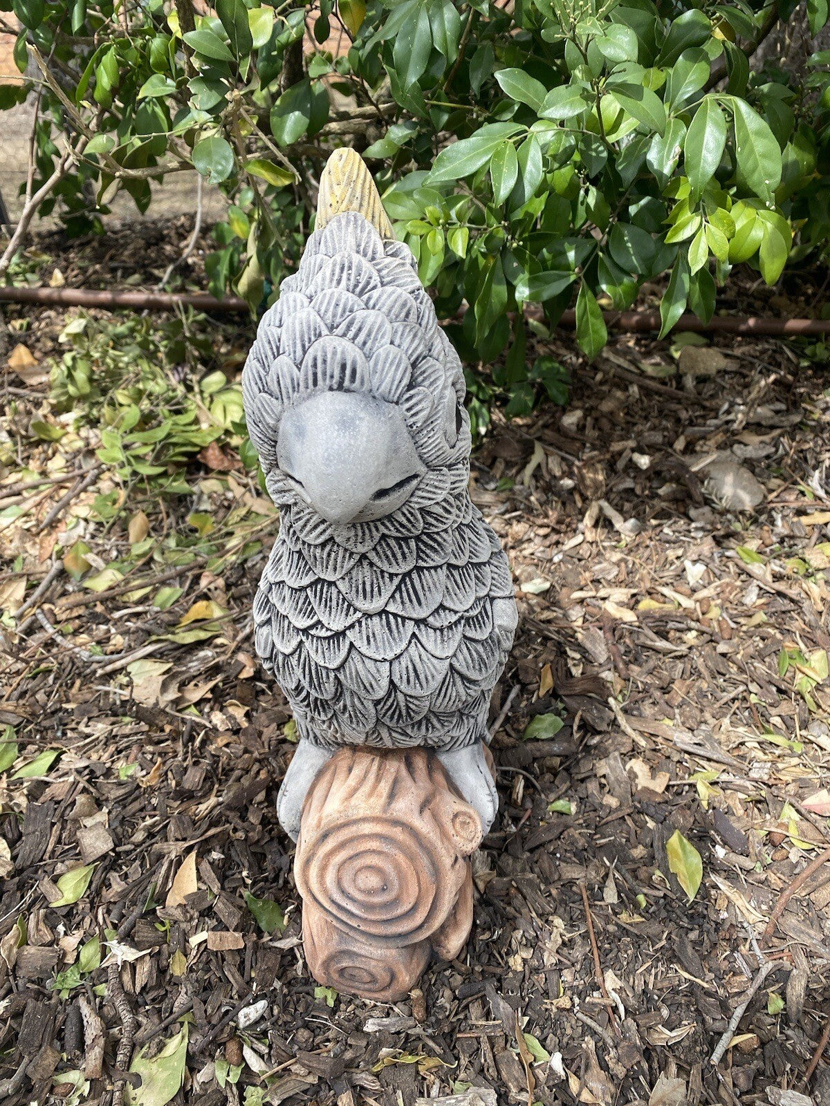Sulfa Crested Cockatoo Statue Ornament Animal Concrete Garden Australian Made G