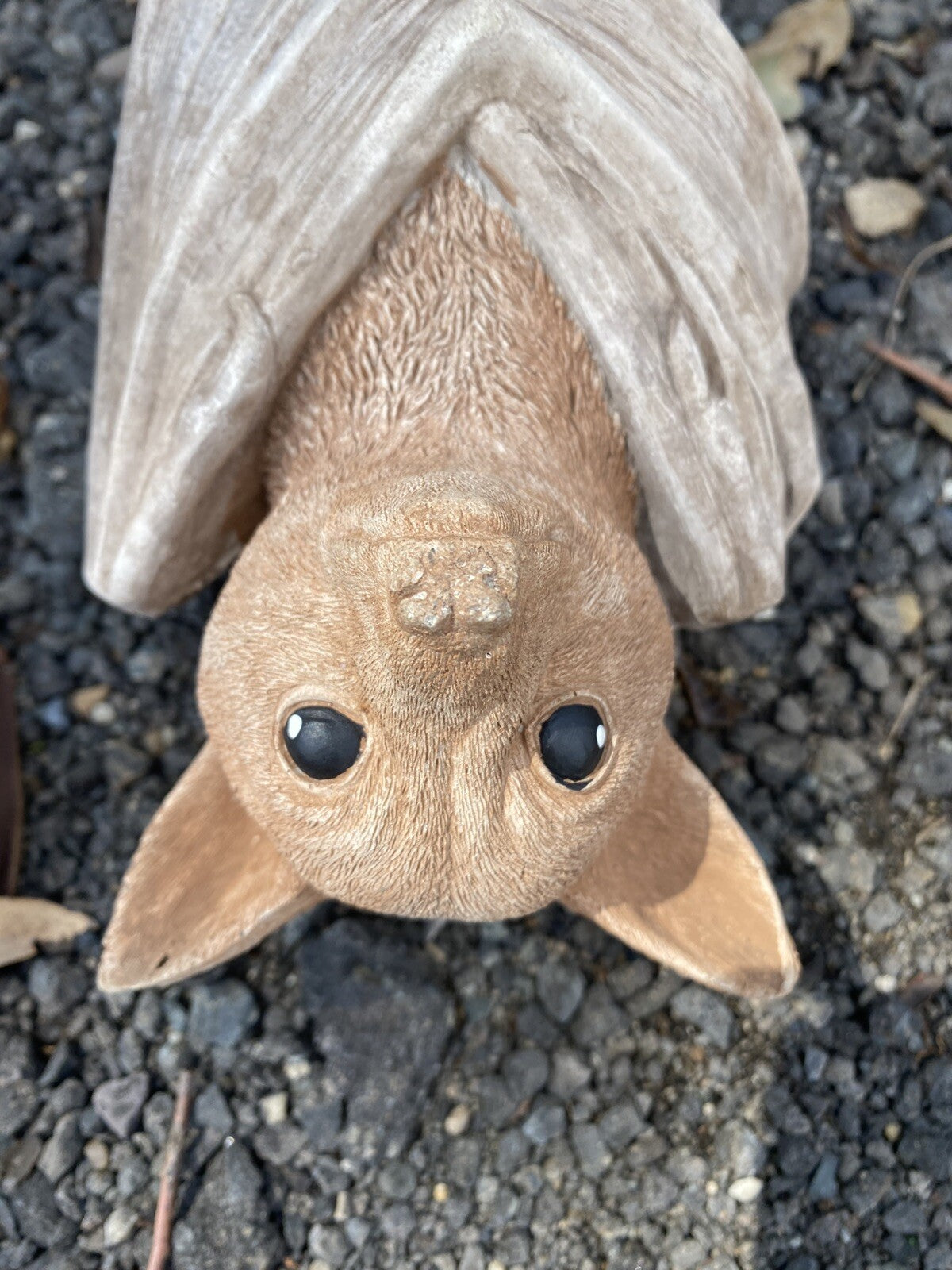 Hanging Bat Flying Fox Statue Concrete Garden Ornament Australian Made