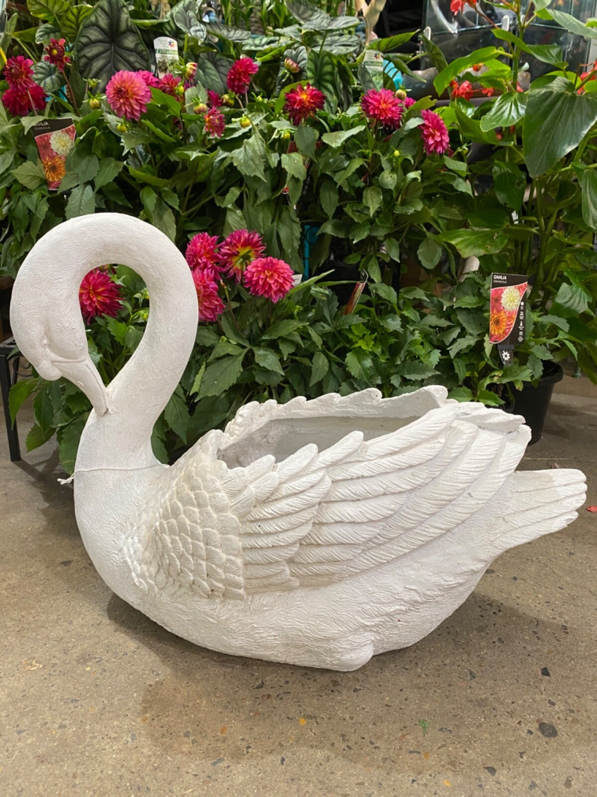 Swan Planter Pot Plant Garden Sculpture Statue White Hamptons Large White