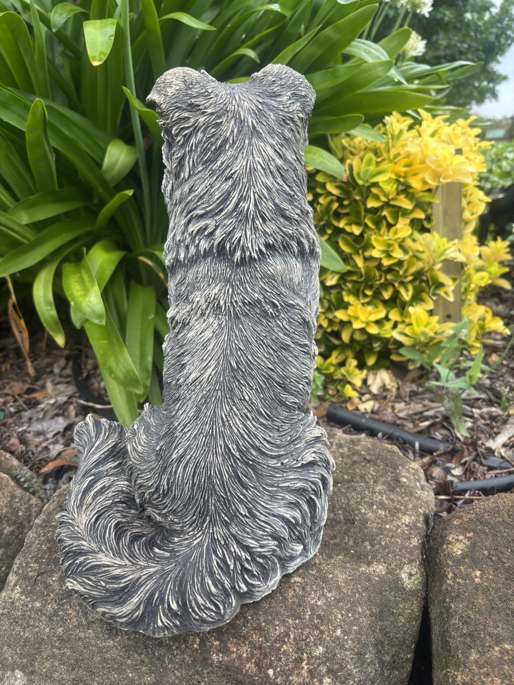Concrete Border Collie Garden Dog Statue Ornament memorial - Australian Made