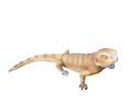 Bearded Dragon Lizard Garden Statue Ornament Figurine