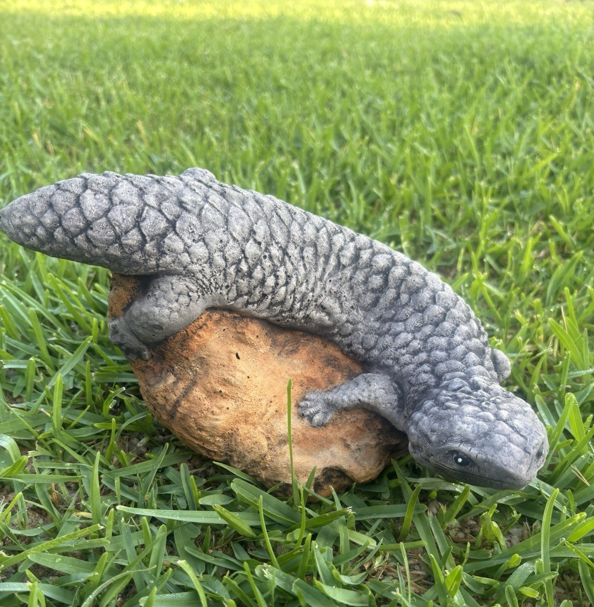 Concrete Shingleback Lizard Garden Statue – Realistic Australian Bobtail Outdoor