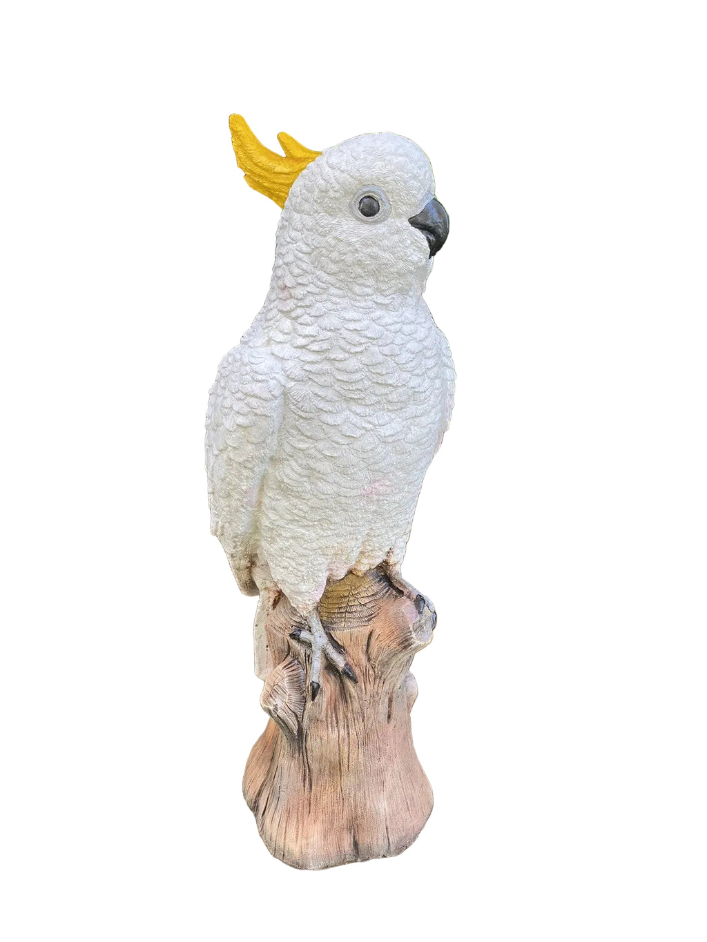 Sulfa Crested Cockatoo Garden Statue Ornament Animal Concrete  Australian Made