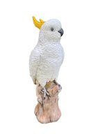 Sulfa Crested Cockatoo Garden Statue Ornament Animal Concrete  Australian Made