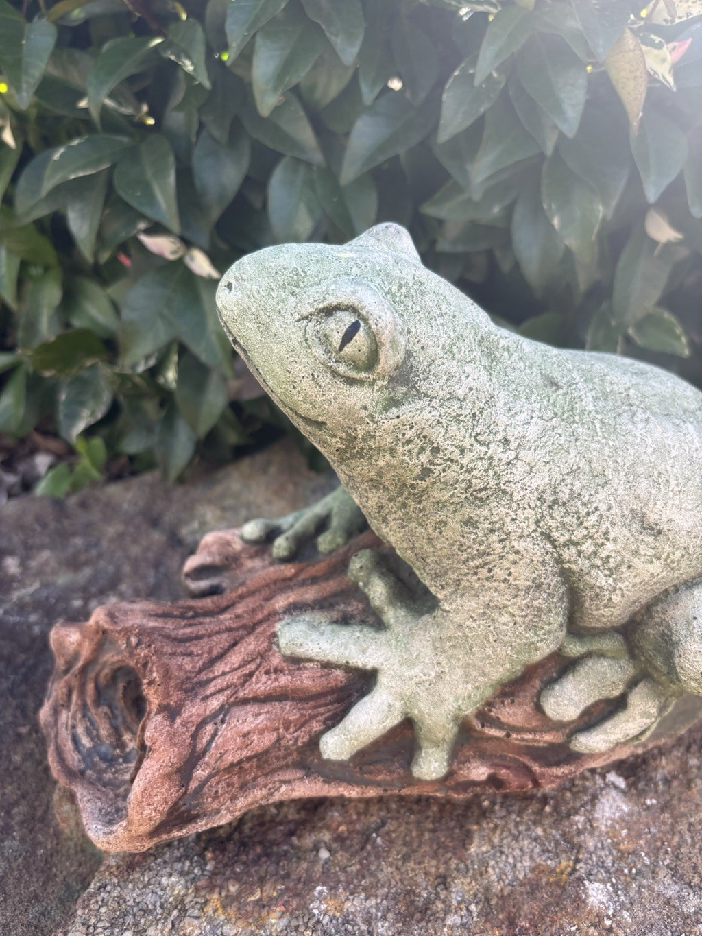 Green Tree Frog On A Log  Animal Concrete Cement Garden Statue Australian Made