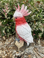 AUSTRALIAN MAJOR MITCHEL BIRD ON A BRANCH ANIMAL GARDEN STATUE ORNAMENT GIFT