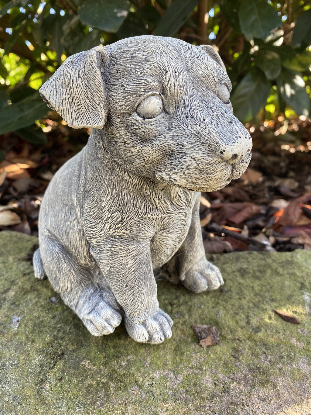 Jack Russell Dog Statue - Concrete Garden Ornament