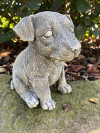 Jack Russell Dog Statue - Concrete Garden Ornament
