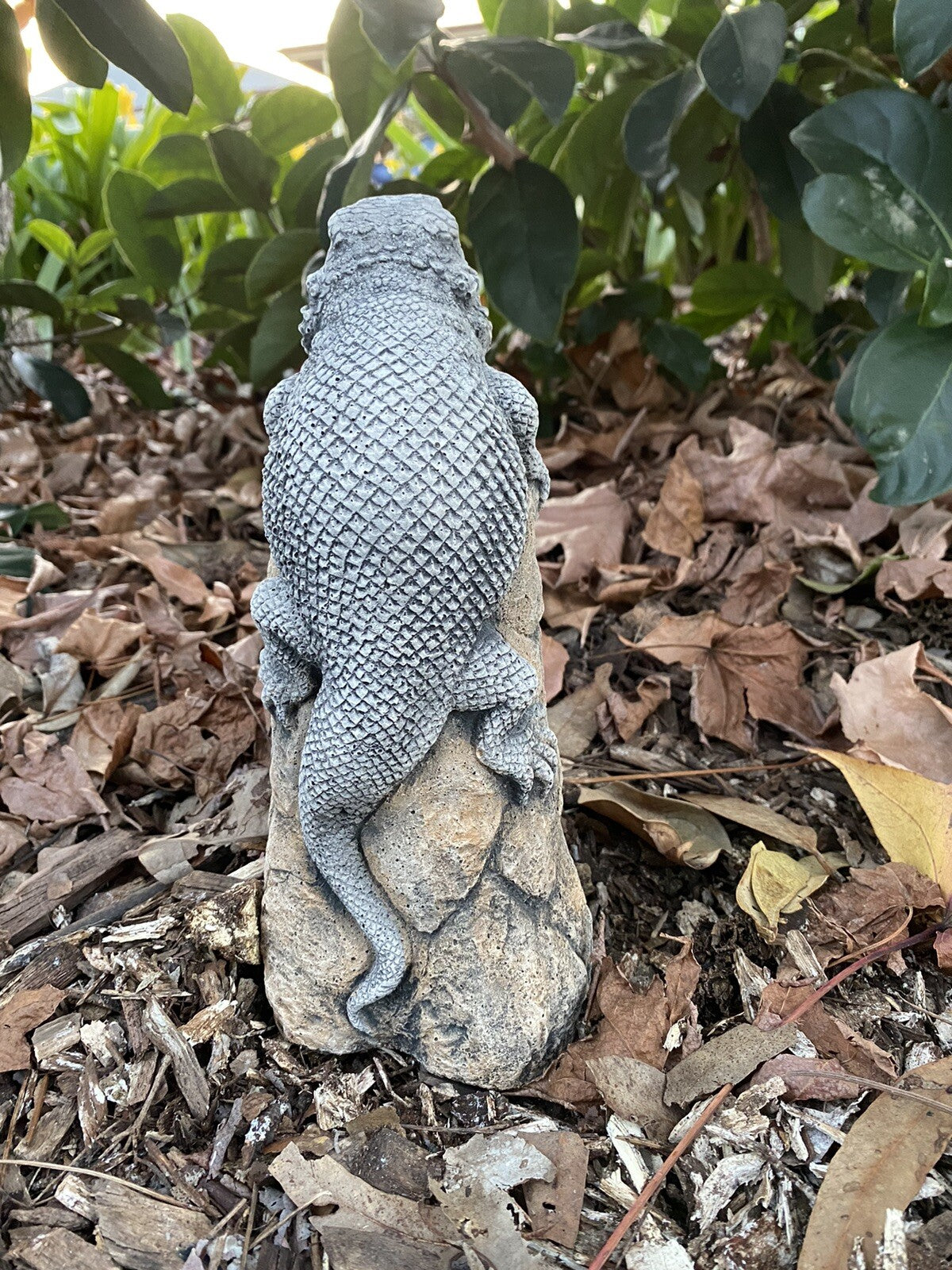 Bearded Dragon Lizard Statue Ornament Animal Concrete Garden Australian Made