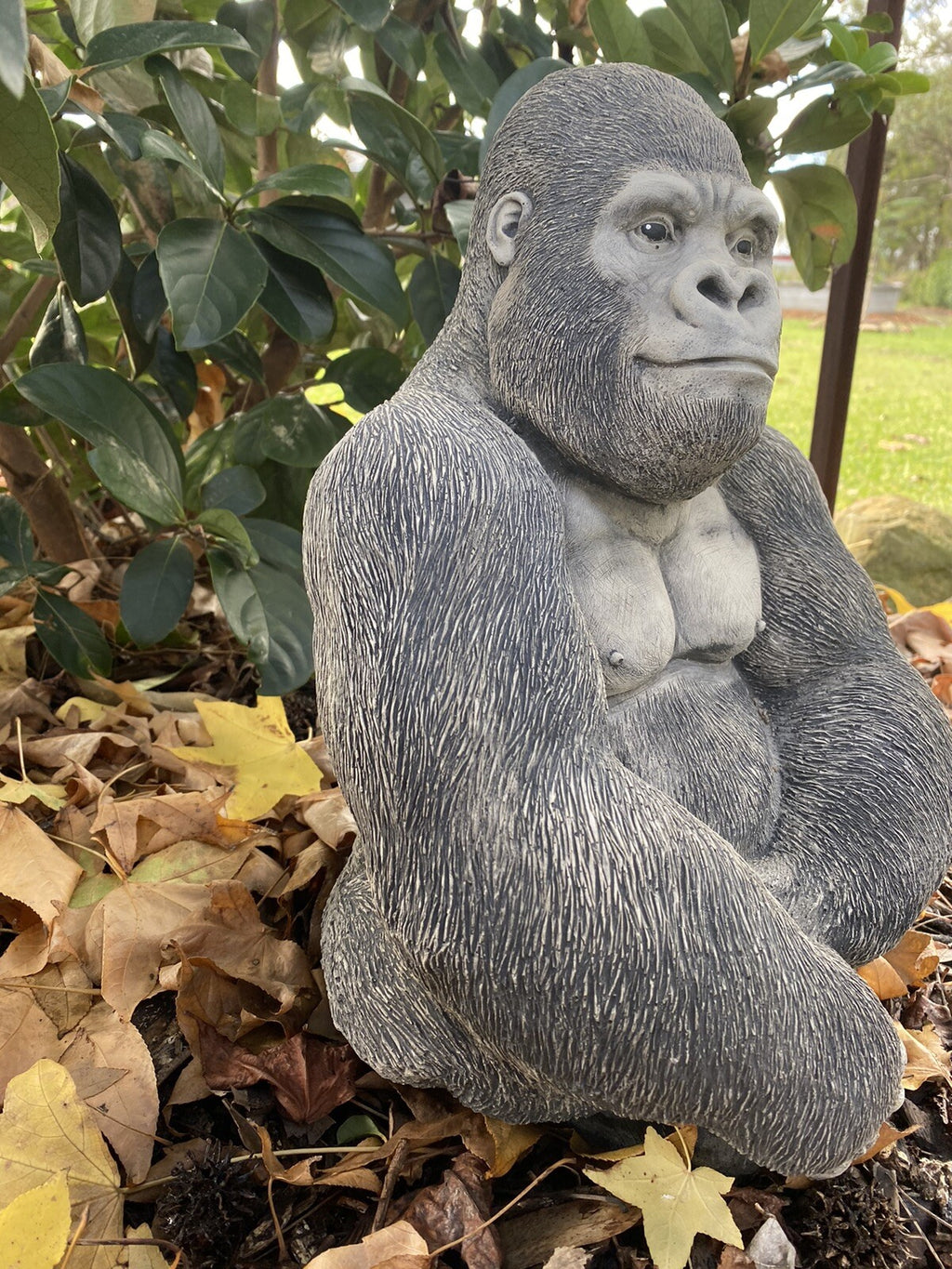 Gorilla Ape Monkey Statue Ornament Animal Concrete Cement Garden Australian Made