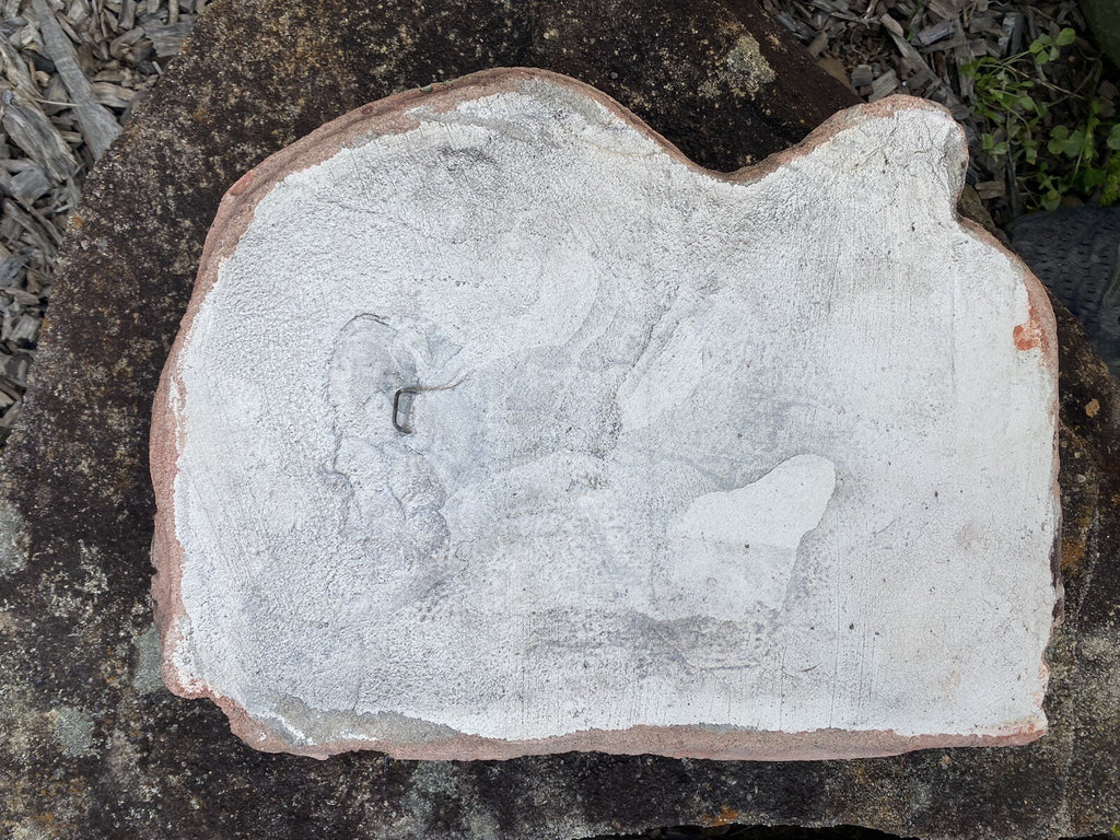 Koala Branch Wall Plaque Garden Statue Ornament Animal Concrete Australian Made