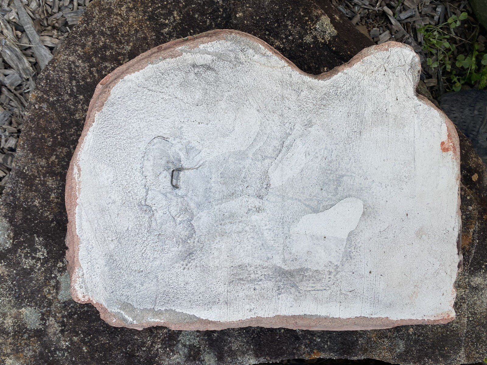 Koala Branch Wall Plaque Garden Statue Ornament Animal Concrete Australian Made