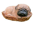 Brown Dog Puppy Pug Asleep In Basket Ornament ~ Statue ~Home Decor