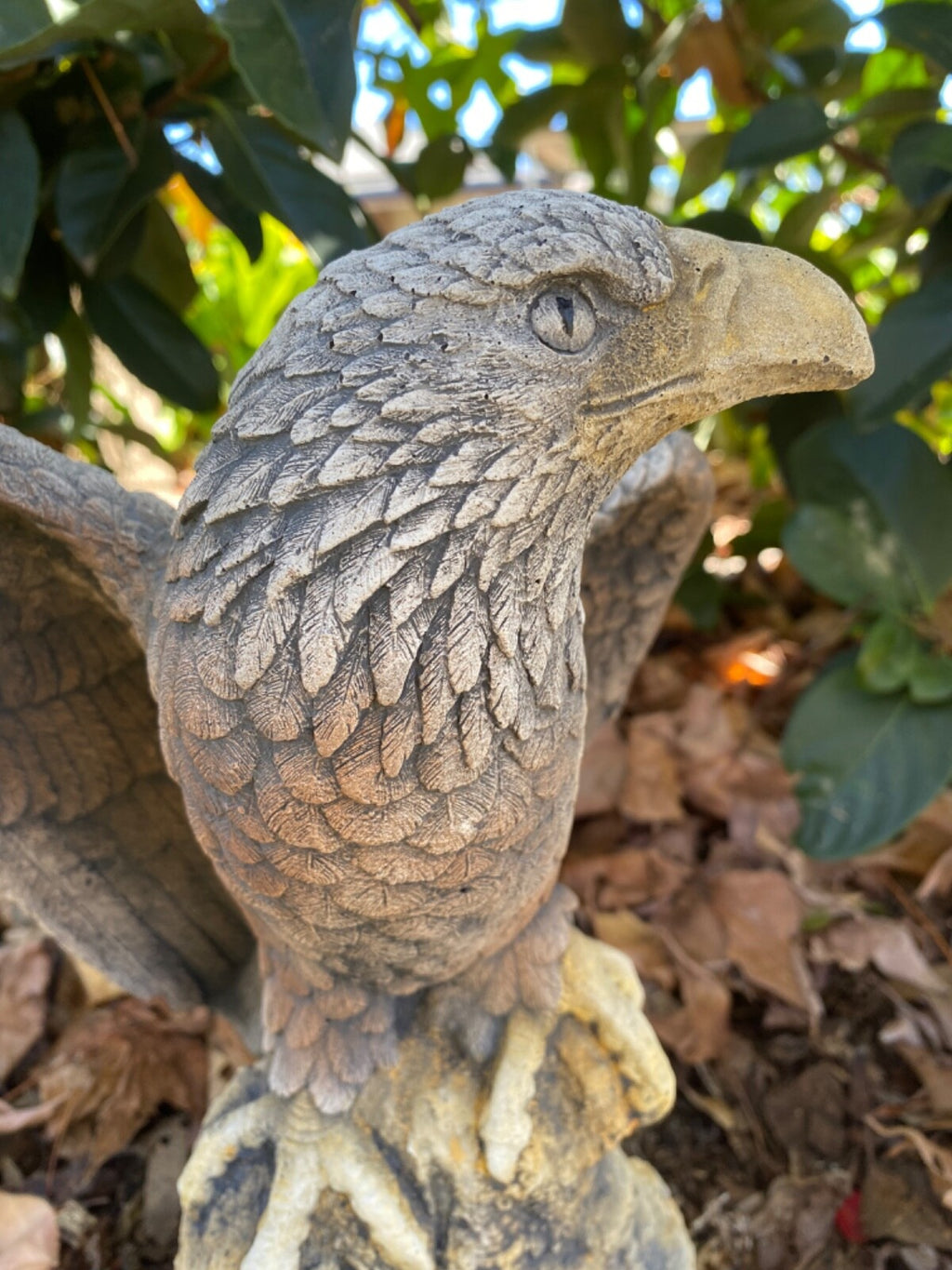 Bold Eagle Bird Statue Ornament Animal Concrete Garden Australian Made