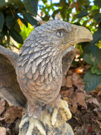 Bold Eagle Bird Statue Ornament Animal Concrete Garden Australian Made