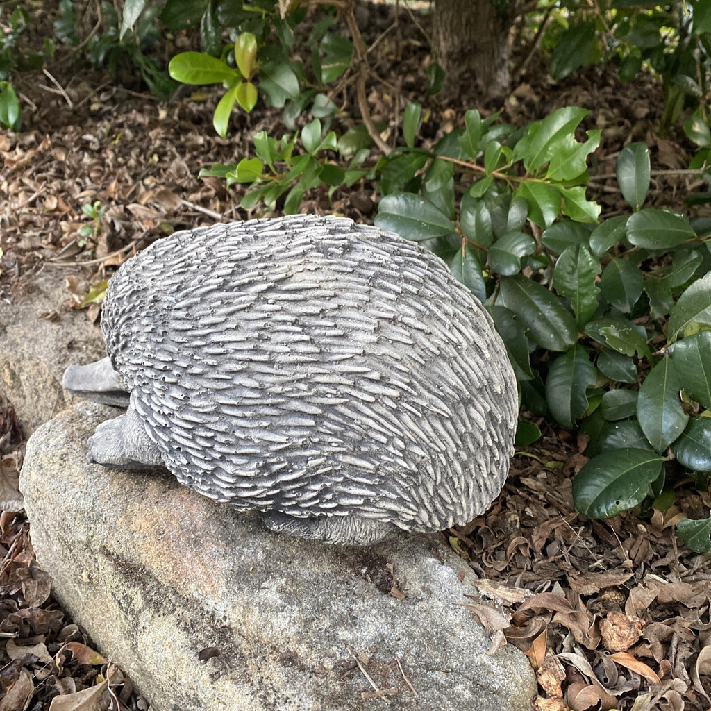 Australian Echidna Statue Ornament Animal Concrete Cement Garden Australian Made