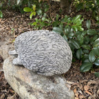Australian Echidna Statue Ornament Animal Concrete Cement Garden Australian Made