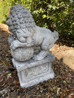 Foo Dog Guardian Lion Statue Concrete Cement Garden Statue Australian Made