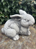 Australian Made Concrete Rabbits Garden Statue | Standing & Laying Bunny