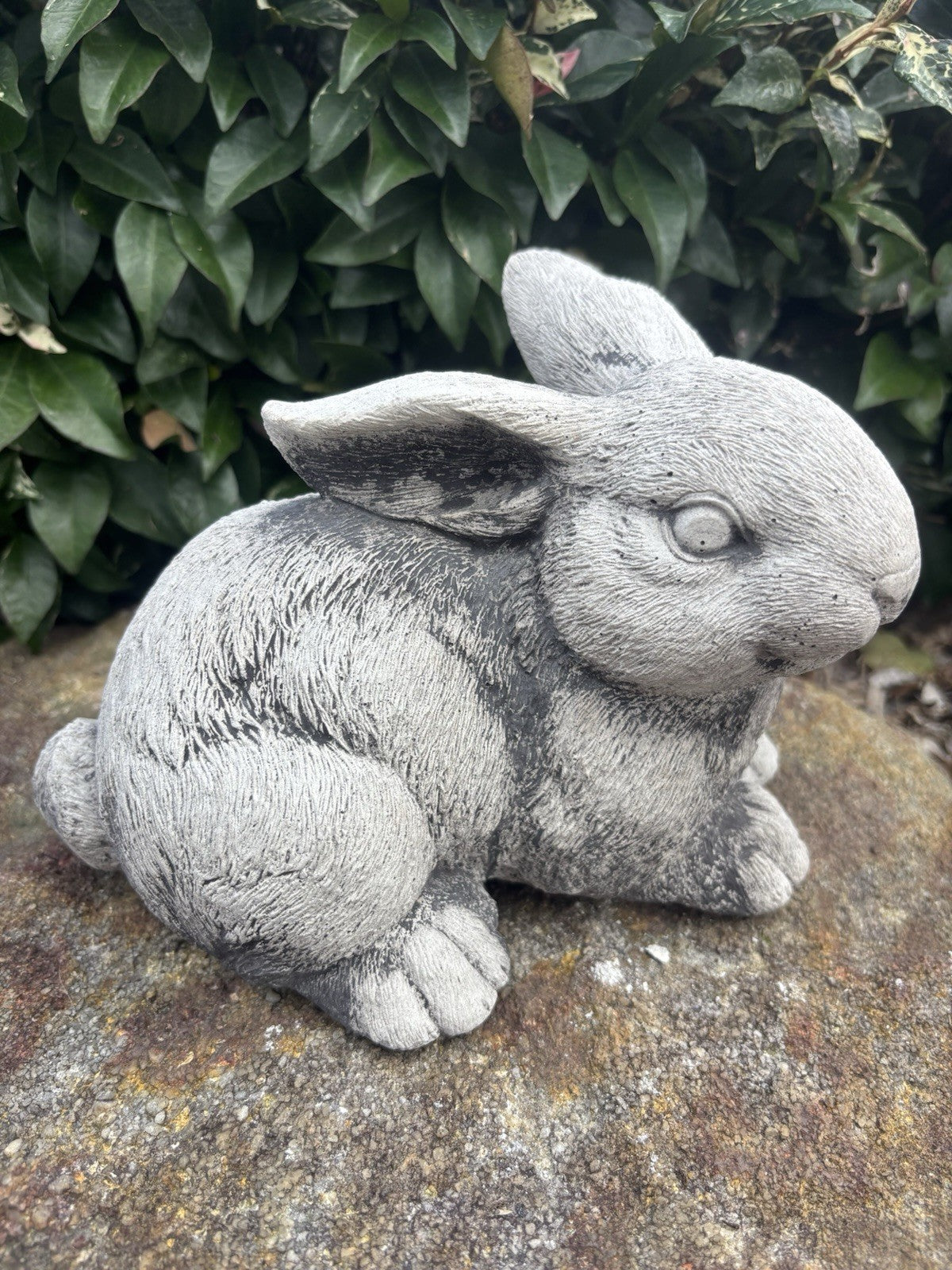 Australian Made Concrete Rabbits Garden Statue | Standing & Laying Bunny
