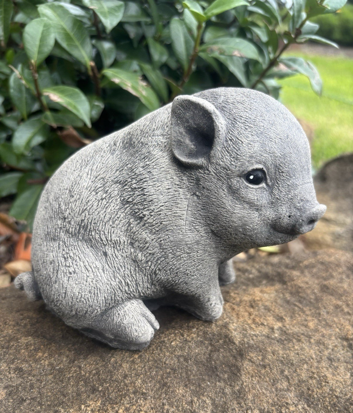 Little Pig Piglet Statue Farm Ornament Animal Concrete Garden Australian Made