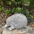 Australian Echidna Statue Ornament Animal Concrete Cement Garden Australian Made