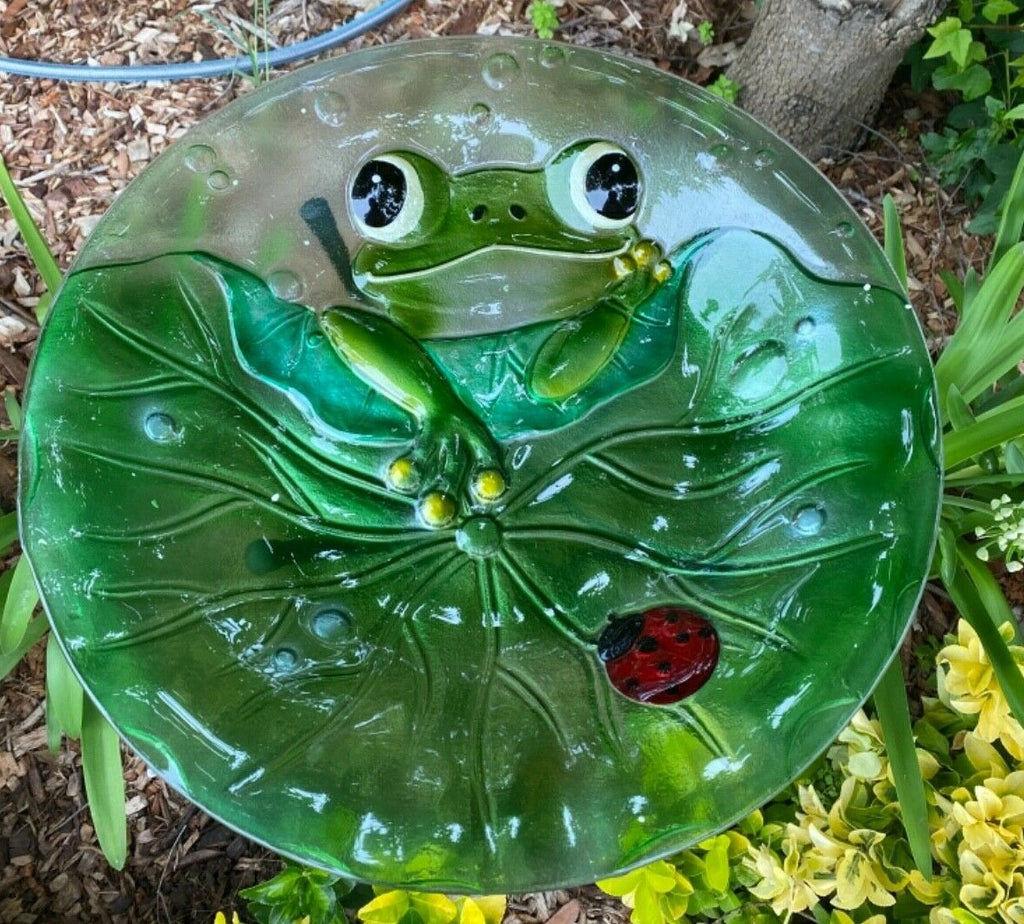 Wild Bird Bath Feeder Food Station Garden Ornaments Green Frog Ladybug Bee Water