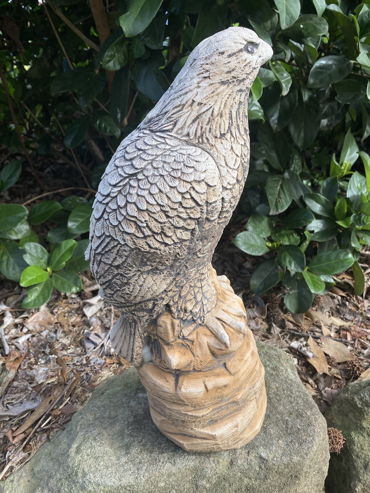 Eagle Bird Statue Ornament Animal Concrete Garden Australian Made