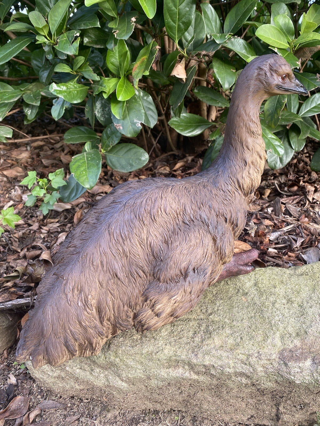 Emu Sitting Realistic Ornament Statue Garden Sculpture Décor  Large 44 cm