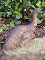 Emu Sitting Realistic Ornament Statue Garden Sculpture Décor  Large 44 cm