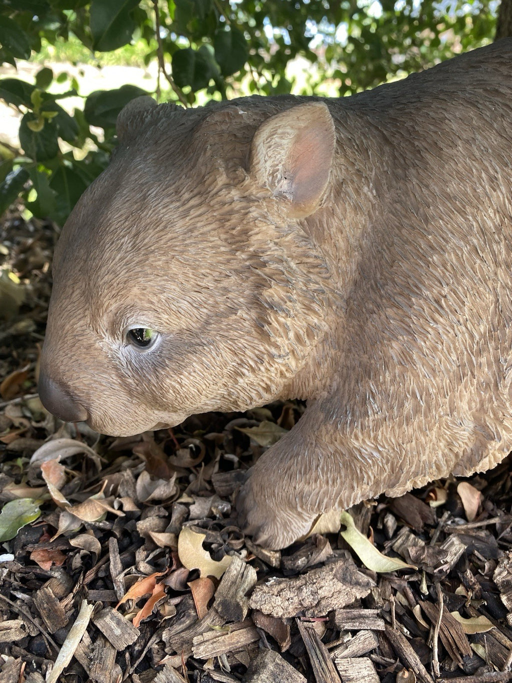 AUSTRALIAN STANDING WOMBAT ANIMAL GARDEN STATUE ORNAMENT FIGURINE
