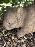 AUSTRALIAN STANDING WOMBAT ANIMAL GARDEN STATUE ORNAMENT FIGURINE