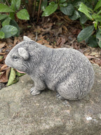 Guinea Pig Statue Ornament Farm Animal Concrete Garden Australian Made