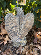 Bold Eagle Bird Statue Ornament Animal Concrete Garden Australian Made