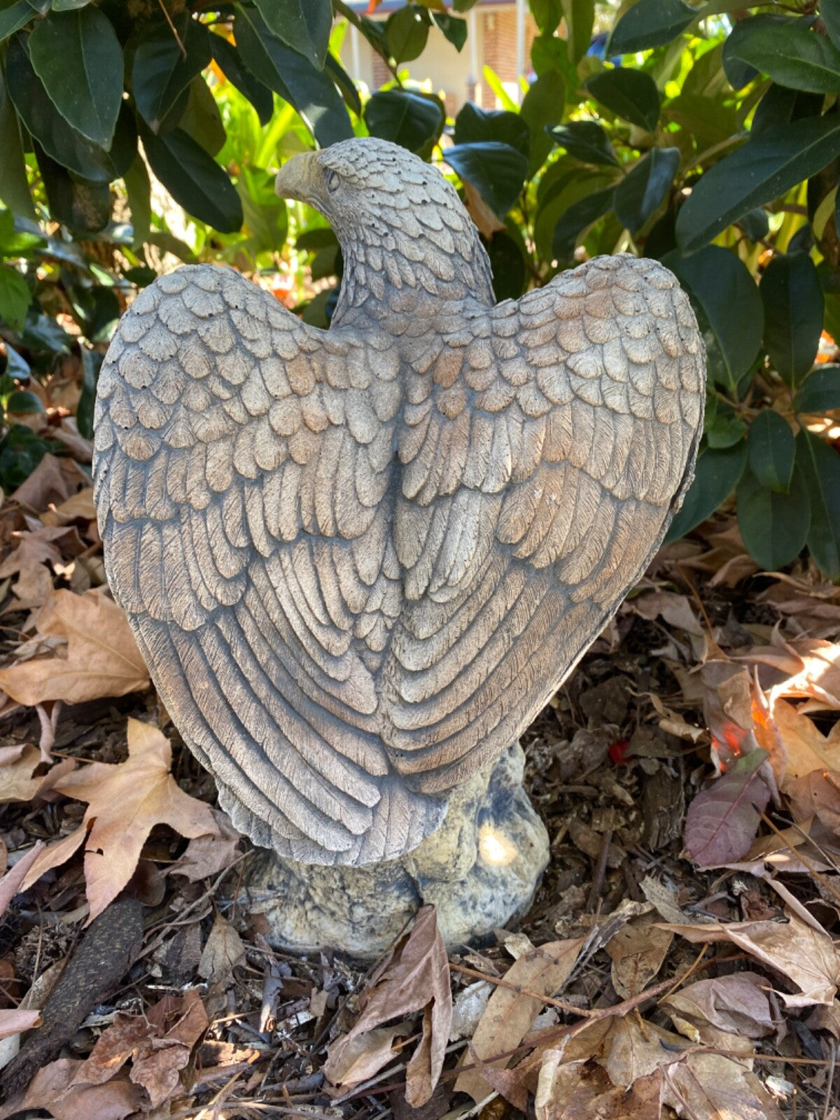 Bold Eagle Bird Statue Ornament Animal Concrete Garden Australian Made
