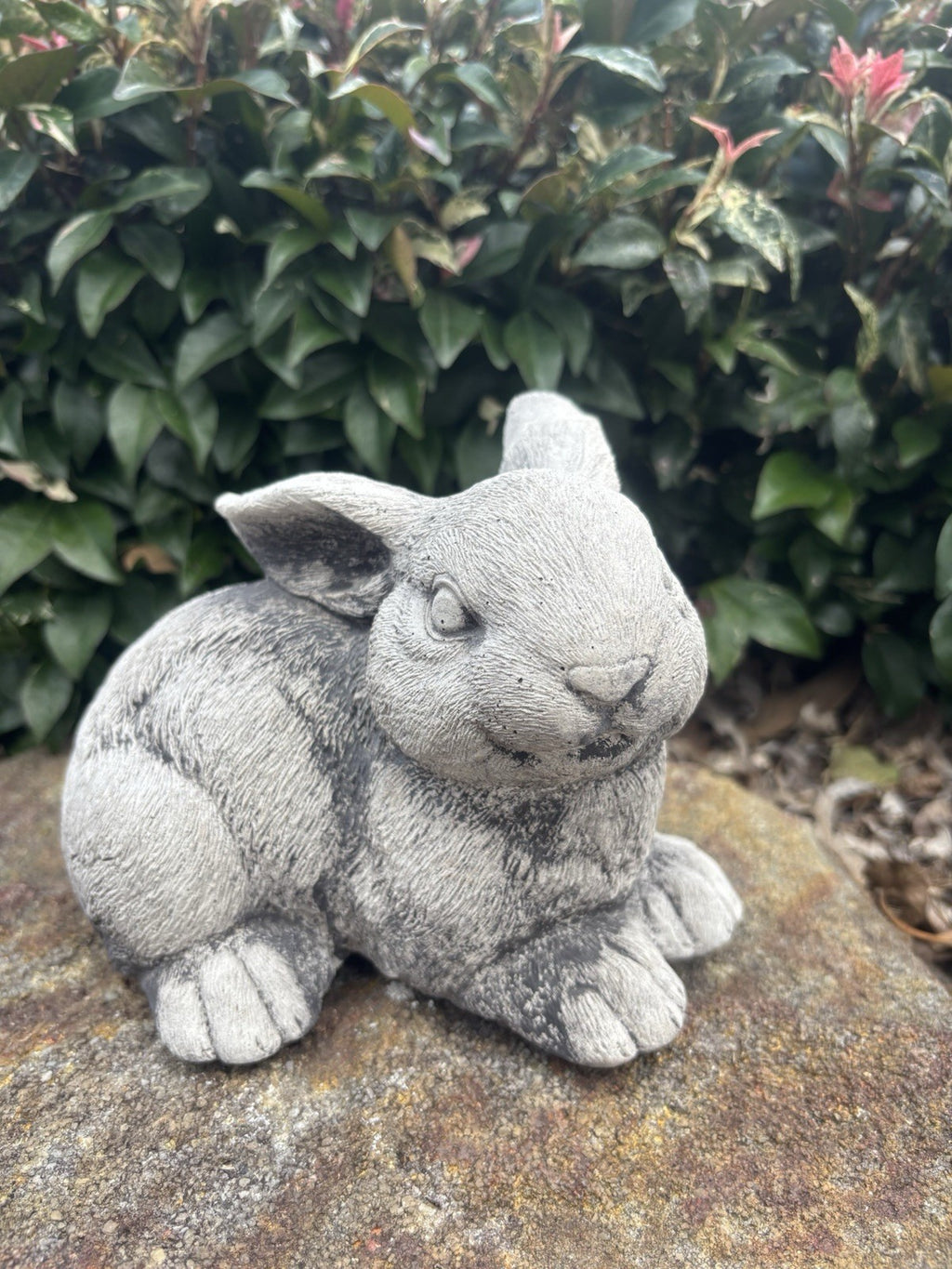 Australian Made Concrete Rabbits Garden Statue | Standing & Laying Bunny