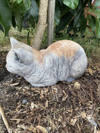 Cat Statue Memorial Sleeping Kitten Grey Animal Concrete Cement Australian Made