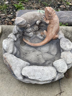Bearded Dragon Bird Bee Bath Feeder Concrete Garden Statue Australian Made