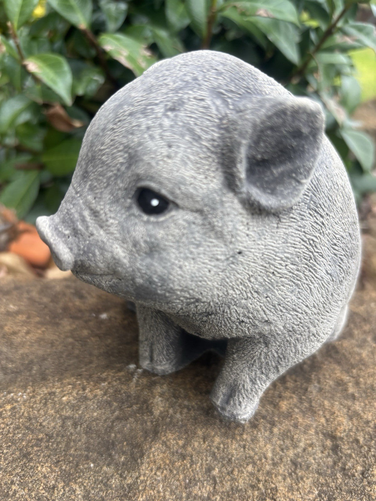 Little Pig Piglet Statue Farm Ornament Animal Concrete Garden Australian Made
